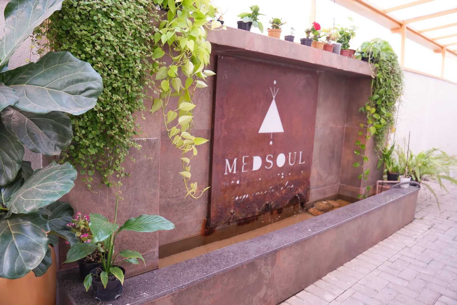 Muro externo da MedSoul com o logo em relevo e jardim vertical de plantas